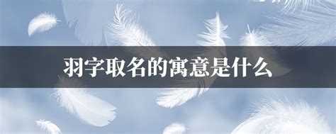 羽的意思名字|羽字取名的寓意